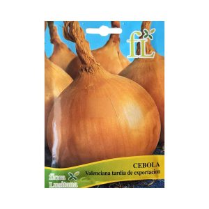 Cebola Valenciana Tardia de Exportação 10G