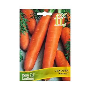Cenoura Nantes 2 10G