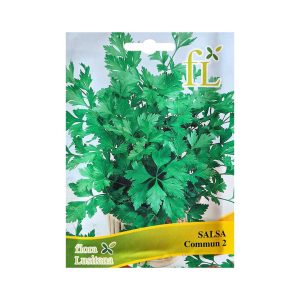 Salsa Commum 2 10G