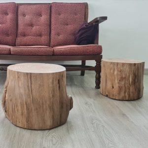 Mesa em Tronco Maciço