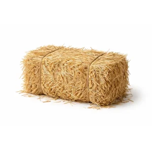 Fardo de Palha (usualmente disponível em loja)